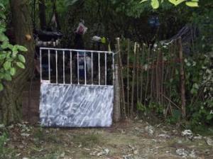 Festiwal opuszcza Kostrzyn