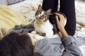 Kiedy kot mówi: „kocham Cię”